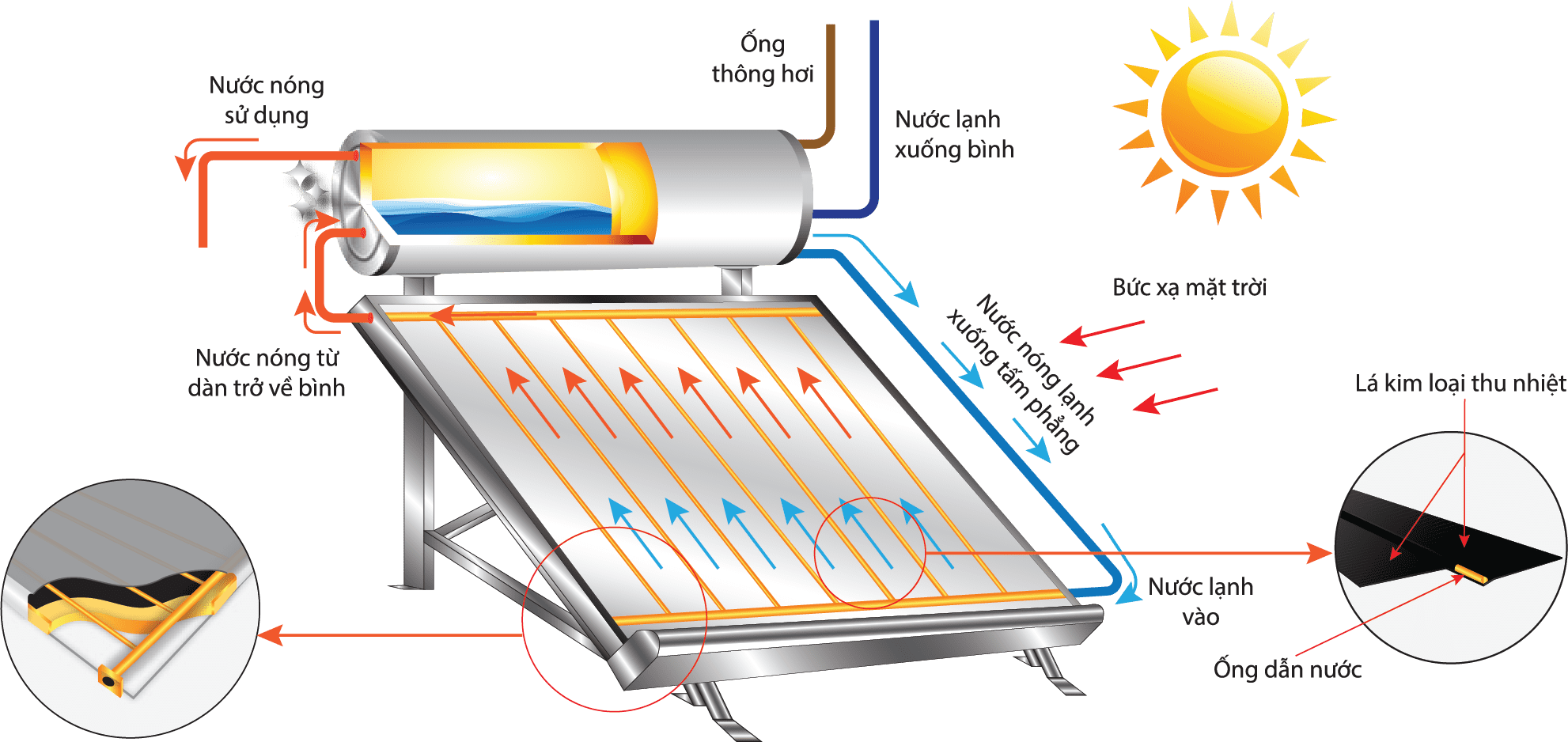 Máy nước nóng NLượng mặt trời 300L Đại Thành PLATINUM -SUS304